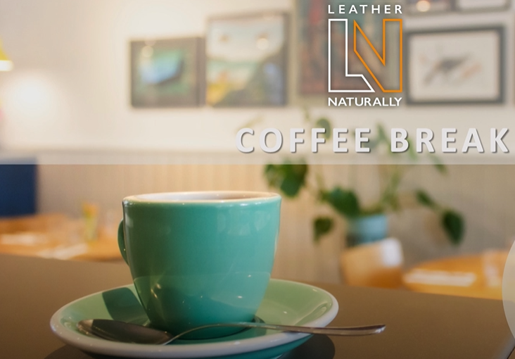 Webinar – Coffee Break