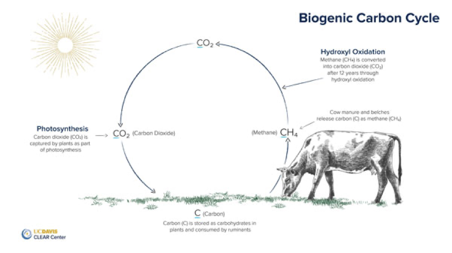 Biogenic_Cycle-UCDavis.jpg
